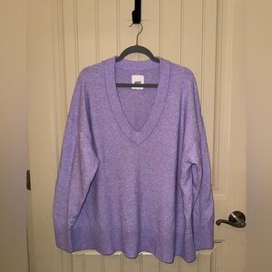 Aerie Lavender V-Neck Women's Sweater